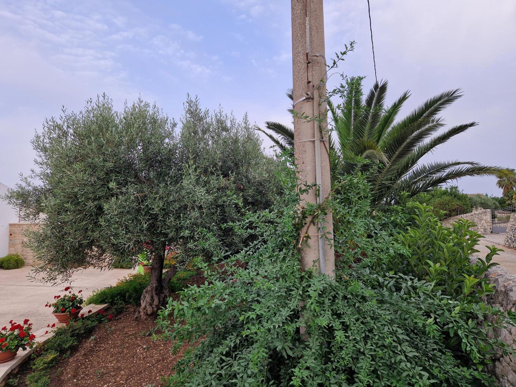 Casa Vacanza I Due Ulivi Modica Extérieur photo